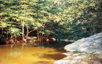 ���� ����� 5. ������� �������