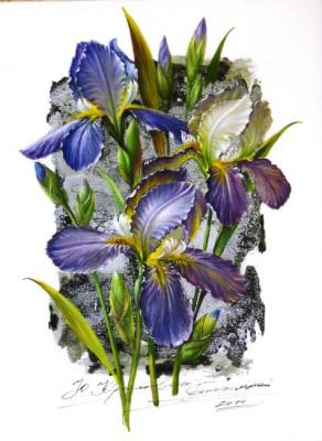Irises. Krasavin-Belopolskiy Yury