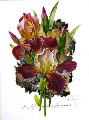 Irises. Krasavin-Belopolskiy Yury