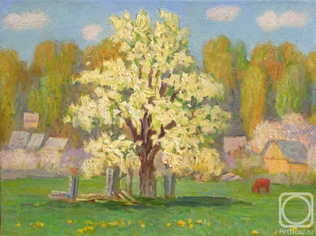 ������� ������ �� ������. �������� �������. �������� ����� (����)