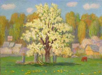 �������� ����� (����). �������� �������