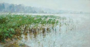 ����� �� �����. ������ �����