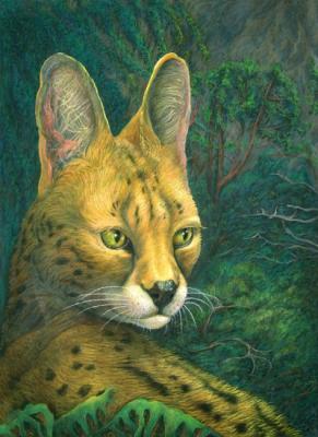 Serval's portrait
