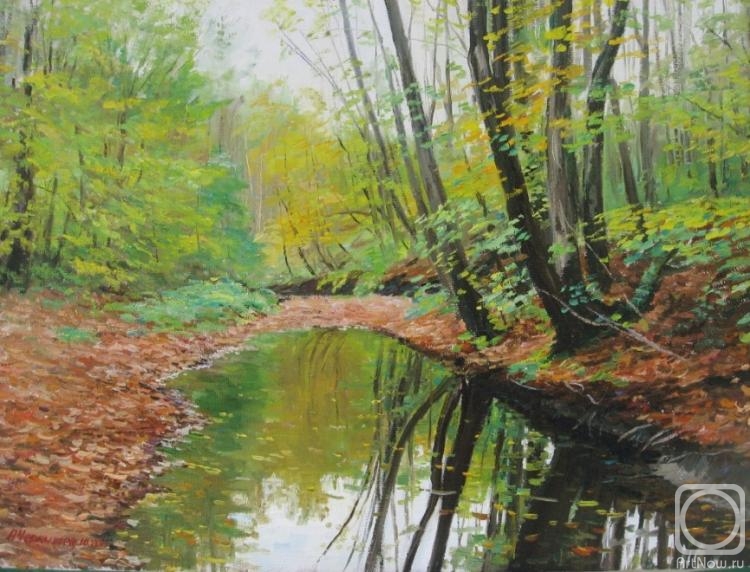 Chernyshev Andrei. Stream in the forest