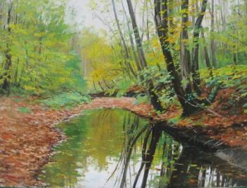 Stream in the forest. Chernyshev Andrei