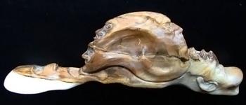 ���������� ������