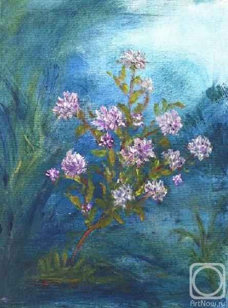 ������� ������ �� ������. ������ ����. ����� ����� �� ������