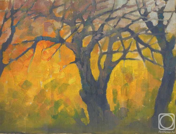 Chernov Denis. Yellow Blossom