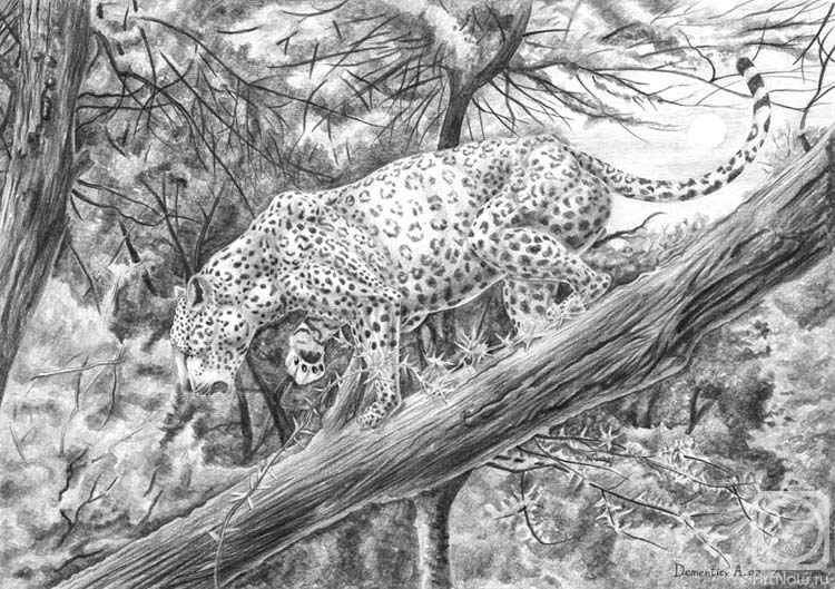 Dementiev Alexandr. Leopard on tree