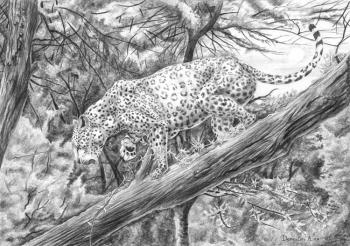 Leopard on tree. Dementiev Alexandr
