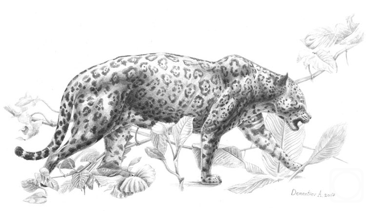 Dementiev Alexandr. Walking jaguar