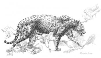 Walking jaguar