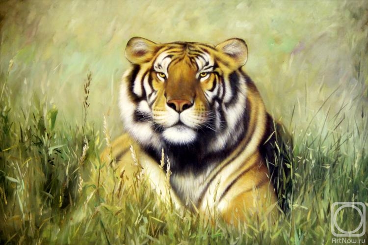 Bruno Tina. Tiger