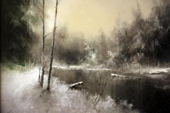 Forest Lake. Winter