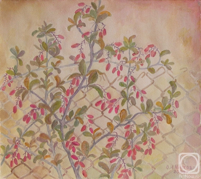 �������. ������� �����. �������� � ��������