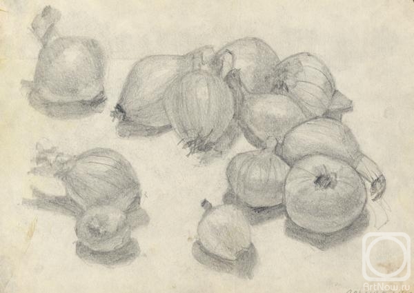 �������. �������� �����. ���. ���������