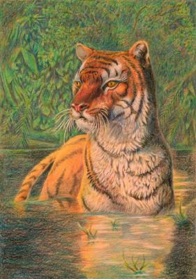 ������� ����� ���������