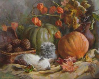 October kittens. Kalinovskaya Ekaterina