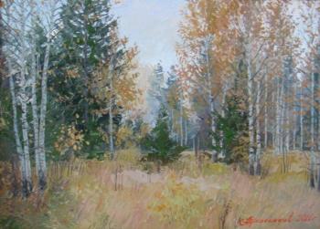 ������� ���������� ���� �����