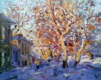 November. � Winter has come to Siberia!?