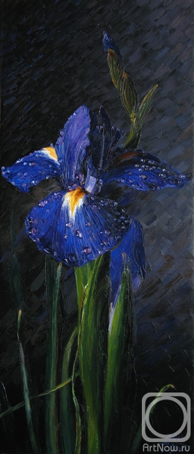 Krasovskaya Tatyana. Iris Blue