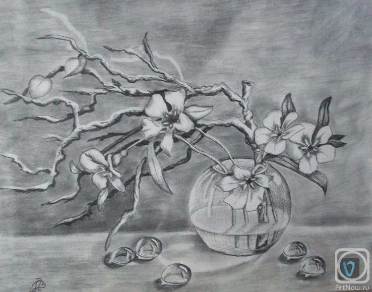 �������. ������� ���������. ������