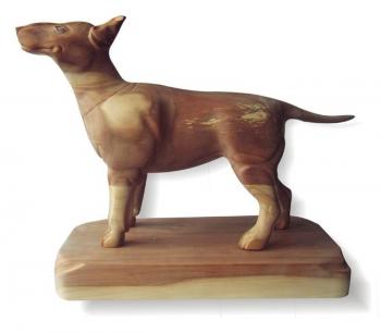 ����������