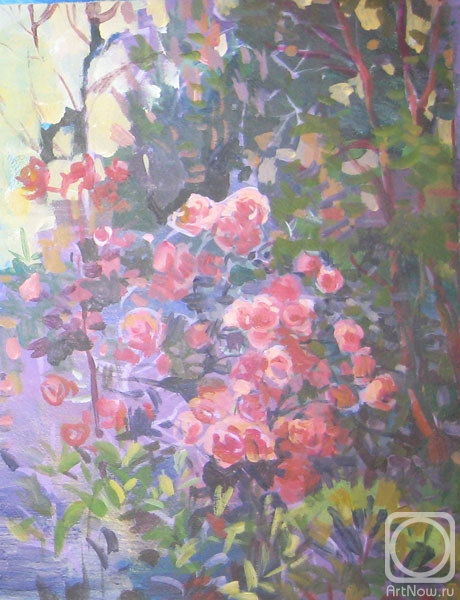 Bocharova Anna. Rose bush in the garden