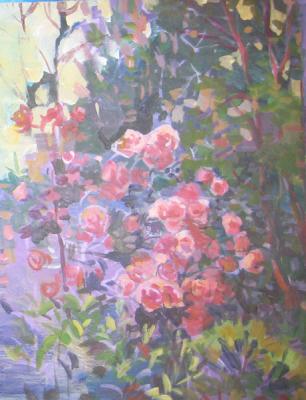 Rose bush in the garden (Rose Garden). Bocharova Anna