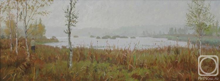Platov Evgeniy. Rain in the swamp