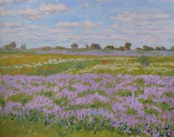 Flowering field. Komarov Alexandr