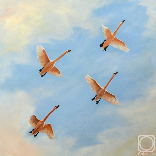 �������. ������� ������. �������� ������