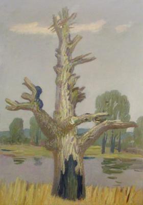 Narovlyansky oak. Sidorkin Valeriy
