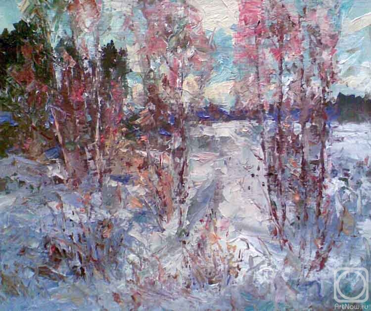 Knecht Aleksander. Fluffy snow swept over