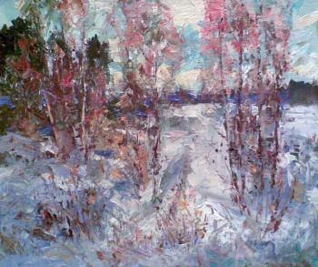 Fluffy snow swept over...