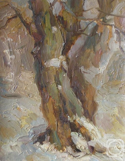 �������. �������� �����. ������ (����)