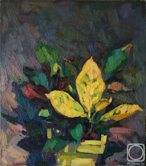 ������� ������ �� ������. �������� ������. ������ �� ����� ����