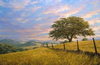 ������� �����������. ������� ����� 2�