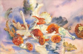 Poisonous Beauty (Amanita). Pugachev Pavel