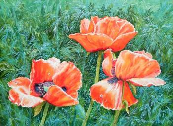 ������� ����� ��� �������