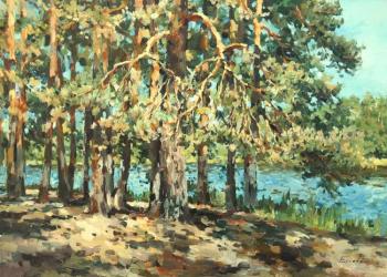 ������� ��� ����������