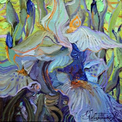 ������� ��������� ����