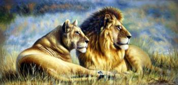 Lions. Bruno Augusto