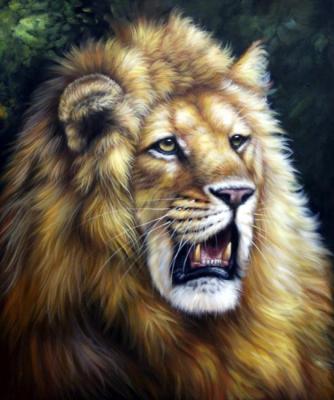 Lion. Bruno Tina