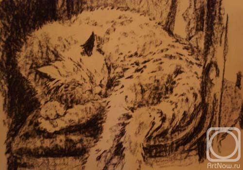 �������. ������� ����. ������ �����