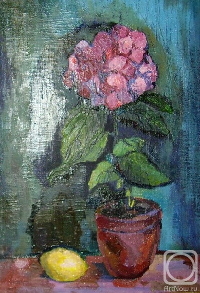 Arhipova Nastasia. hydrangea