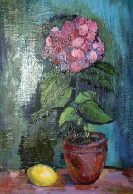 ���������. �������� ��������