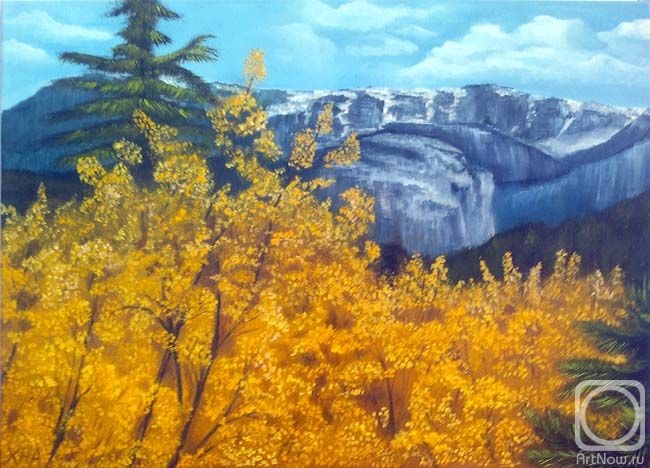 Khubedzheva Nataliya. yellow bush