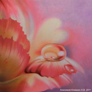 ������� ��������