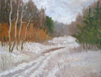 Winter Road. Popov Sergey